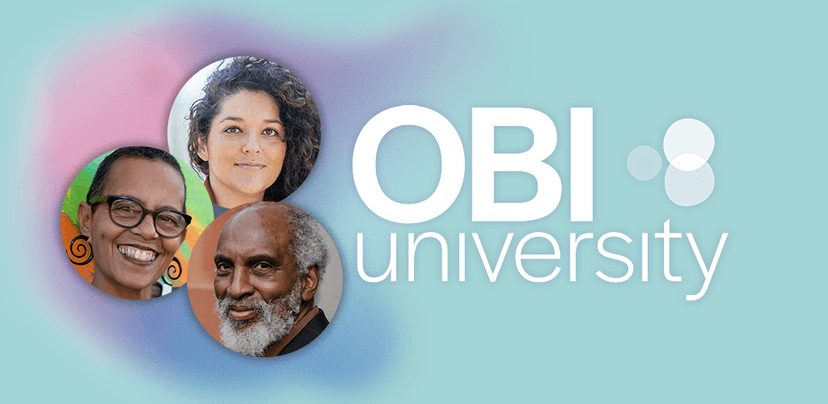 Othering & Belonging Institute University